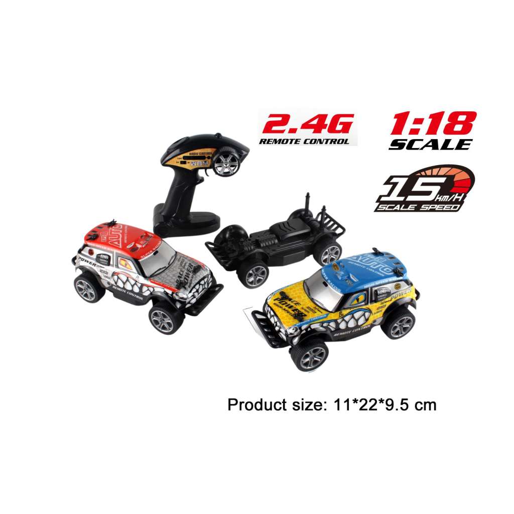 1:18 2.4G PET RC Car 